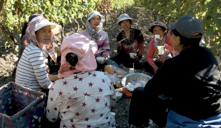 Shangri-La, Paradise Under Construction