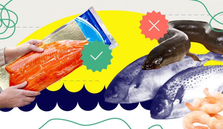 zalm en tonijn design pointer stijl 