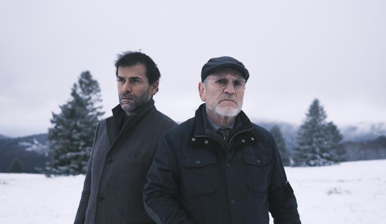 The Forrest of the Missing