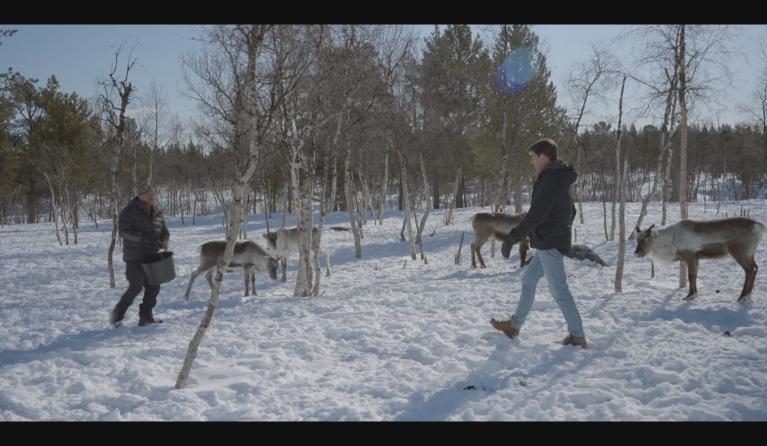 Twan in Lapland