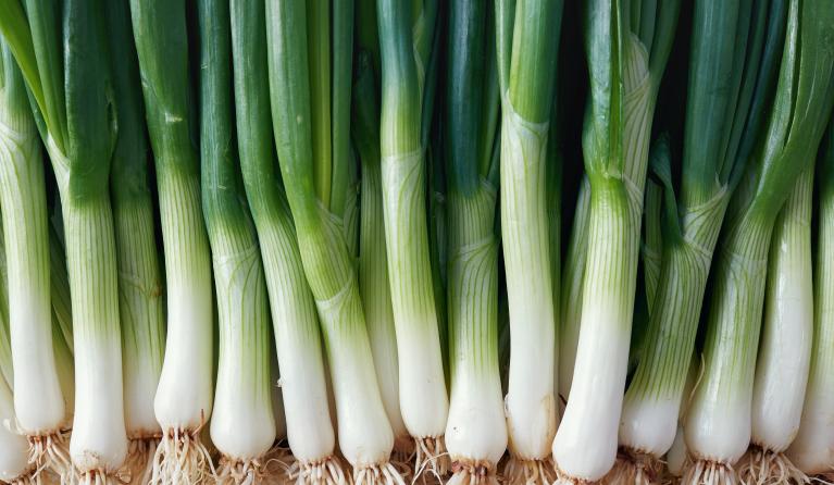 bosui recept hack lente-ui