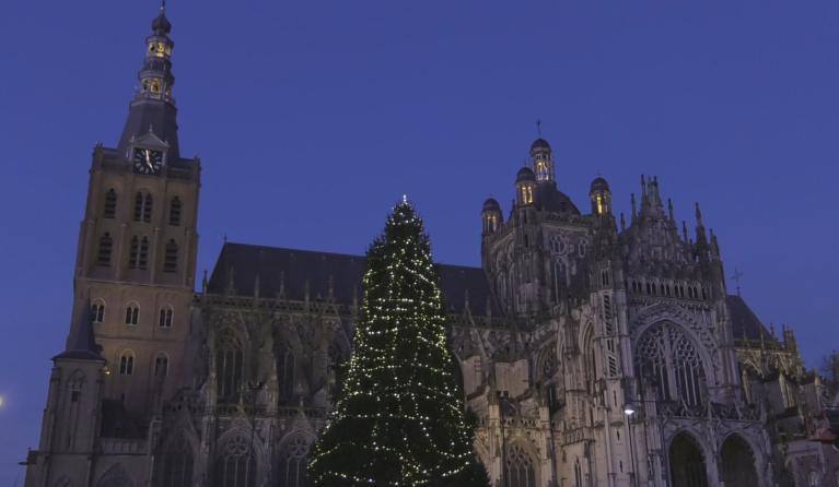 St Jan Den Bosch en kerstboom - nacht