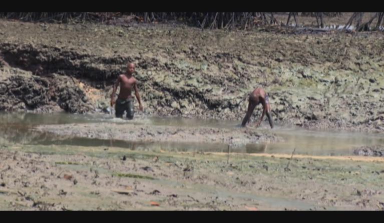 Kinderen in de Niger