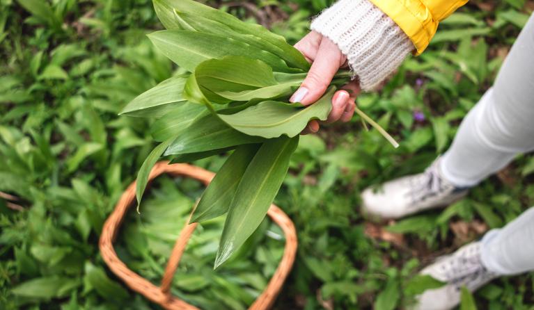 daslook eten recepten