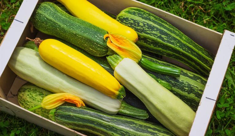 courgette rauw eten