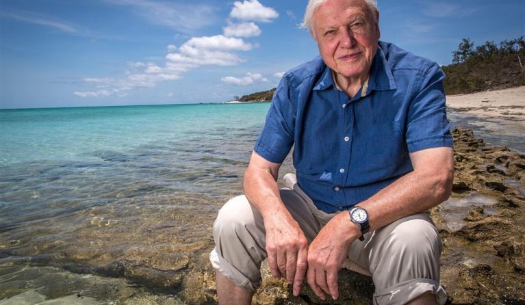 David Attenborough