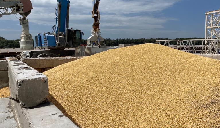 A pile of maize grains is seen on the pier at the Izmail Sea Port, Odesa region, on July 22, 2023. Russia said on July 21, 2023 that it understood the concerns African nations may have after Moscow left the Ukrainian grain deal, promising to ensure deliveries to countries in need. STRINGER / AFP