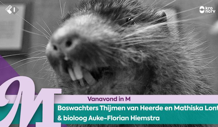 Boswachters Thijmen van Heerde en Mathiska Lont & bioloog Auke-Florian Hiemstra
