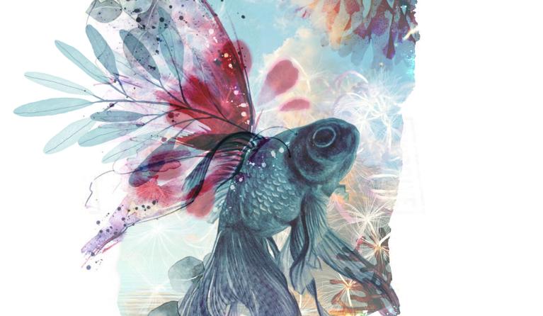 Droom Marjan de Haan