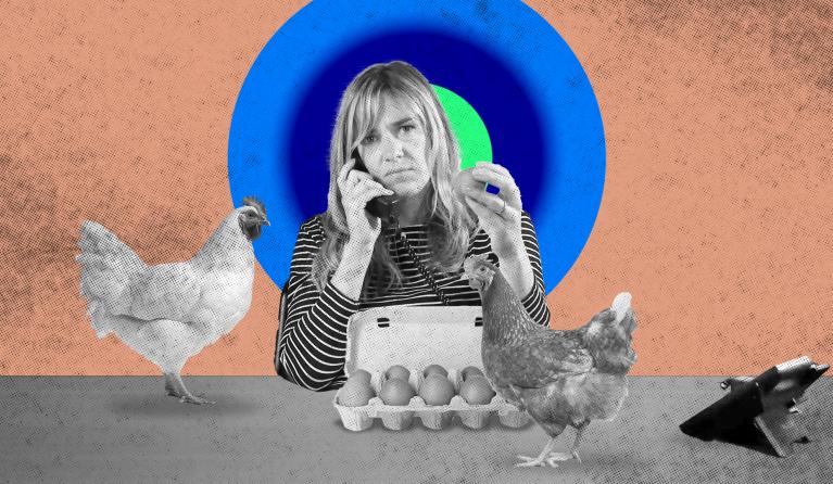 Kvw supermarktgids - eieren en zuivel - header