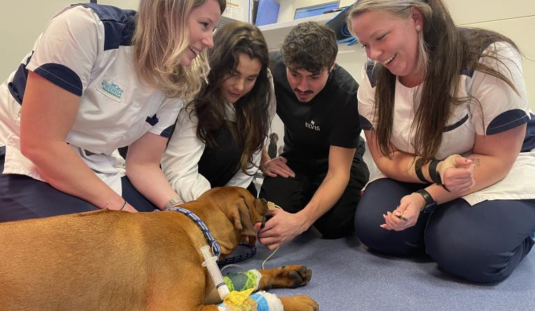 Julia Heetman en Niek Roozen