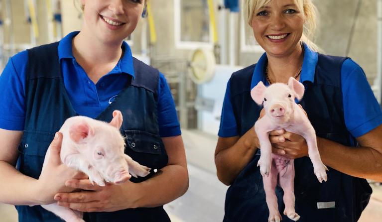 Varkensbedrijf en Yvon