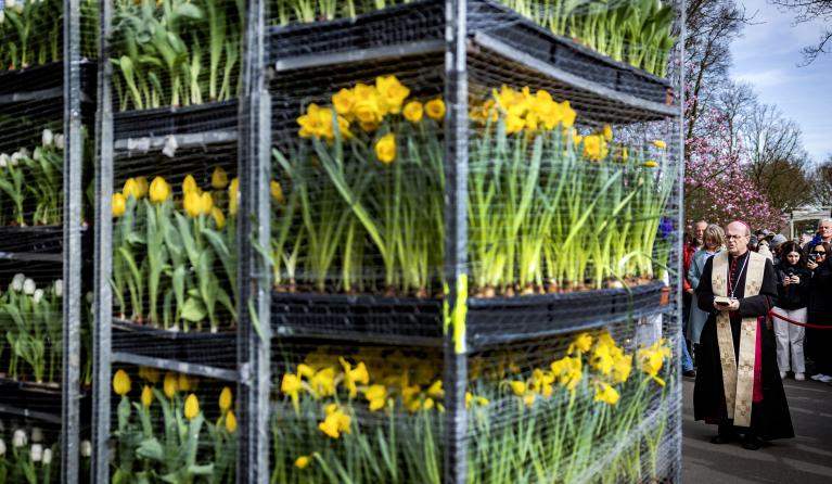Bisschop van Rotterdam Hans van den Hende zegent bloemen in de Keukenhof, voordat deze vertrekken naar het Vaticaan. Paus Franciscus zal tijdens het uitspreken van de traditionele zegen Urbi et Orbi vanaf het balkon van de Sint-Pietersbasiliek omringd worden door de Nederlandse bloemen. ANP RAMON VAN FLYMEN
