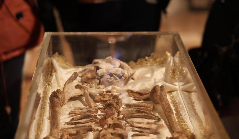 The body of St. Francis of Assisi is displayed to the public for the first time in history in a glass shrine in front of the altar of the Lower Basilica in Assisi, Italy, 21 February 2026. EPA/Gianluigi Basilietti