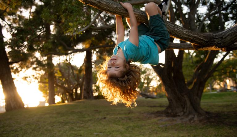 Een kind klimt in een boom