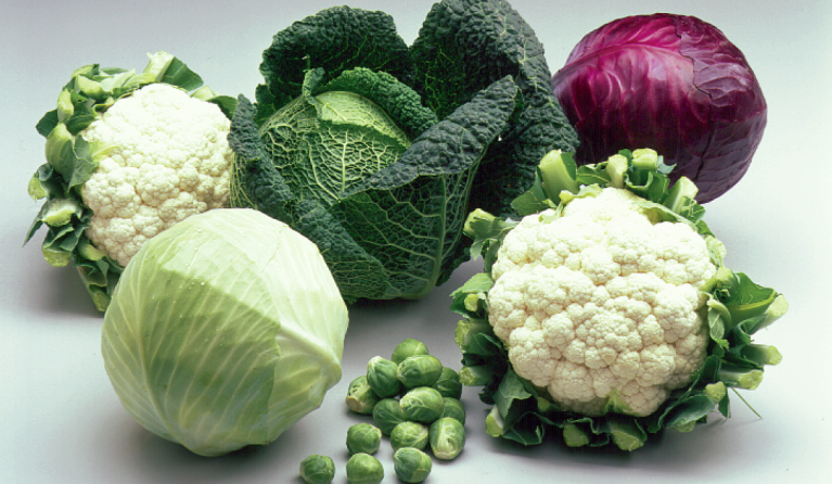 Kvw gids - Koolsoorten en andere groenten