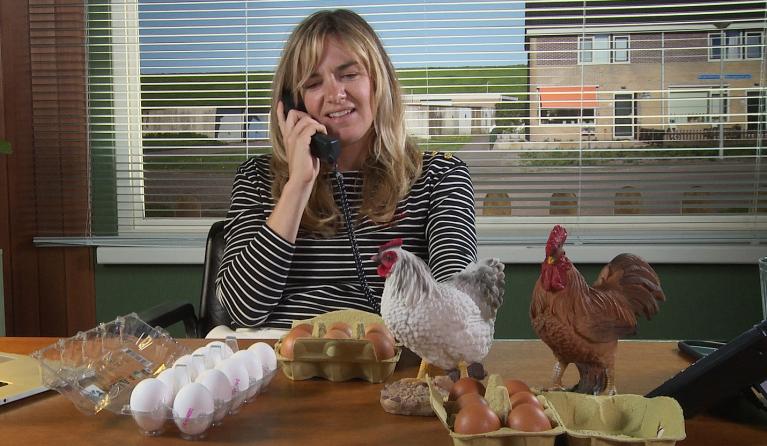 keuringsdienst van waarde - kip en ei