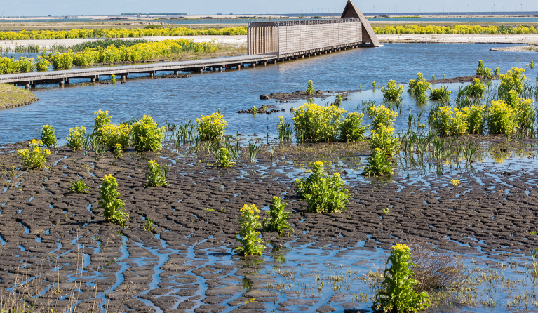 Landschap Marker Wadden - foto: Peter Leenen