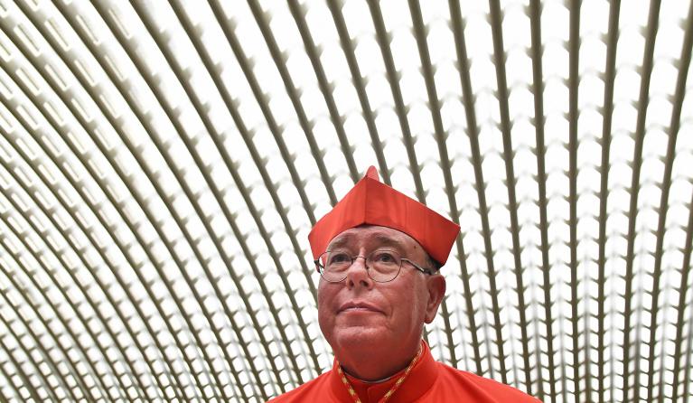 luxemburg-kardinaal_hollerich-anp-378098192