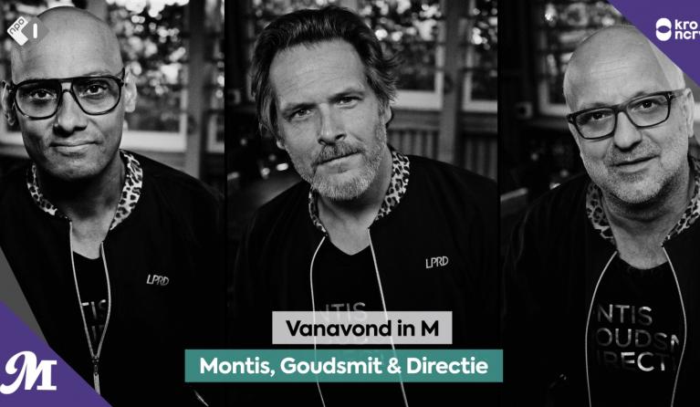 Montis, Goudsmit & Directie