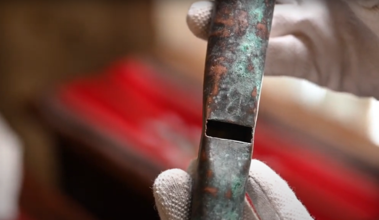 The organ that has been 'frozen' in time