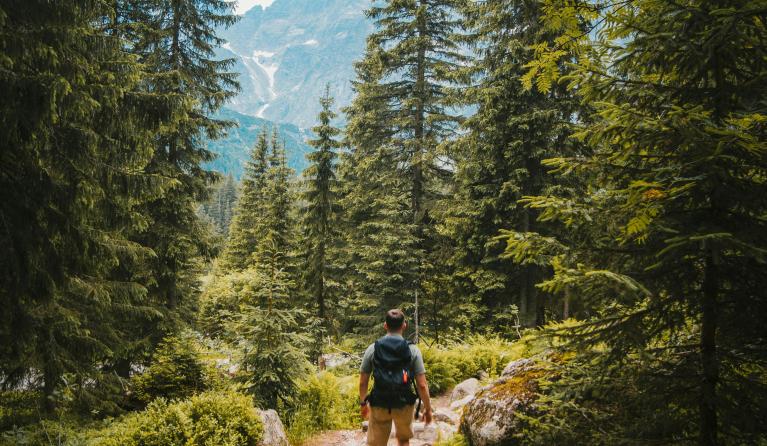 Pelgrim op pelgrimstocht