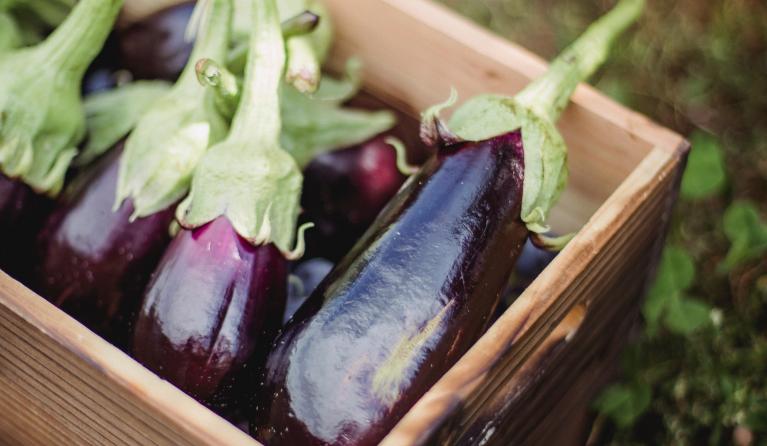Aubergines