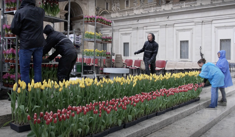 Bloemen op het Sint Pietersplein