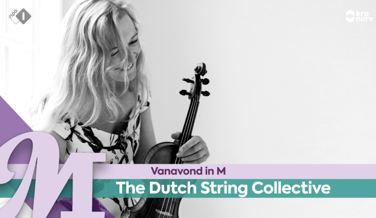 The Dutch String Collective