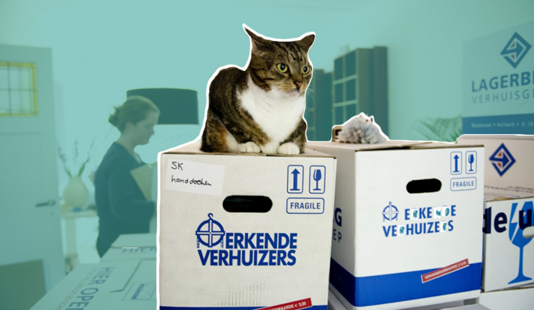 Een recordaantal twintigers en dertigers wordt gedwongen thuis te blijven wonen