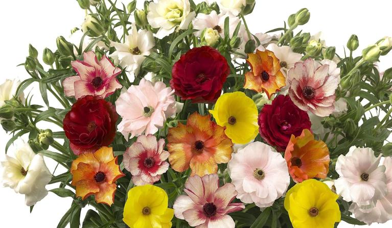 easter_-_dutch_flower_arrangements