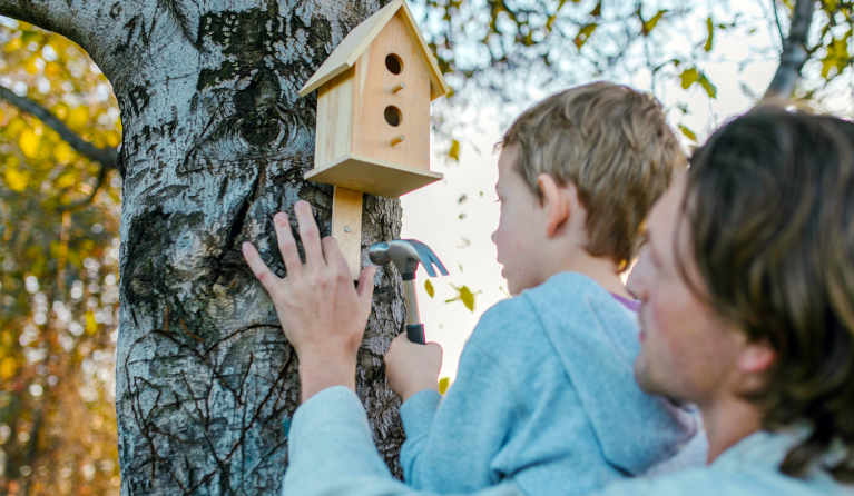Een vader hangt met zijn zoon een vogelhuisje op aan een boom