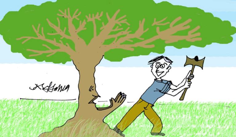 Kappen van bomen