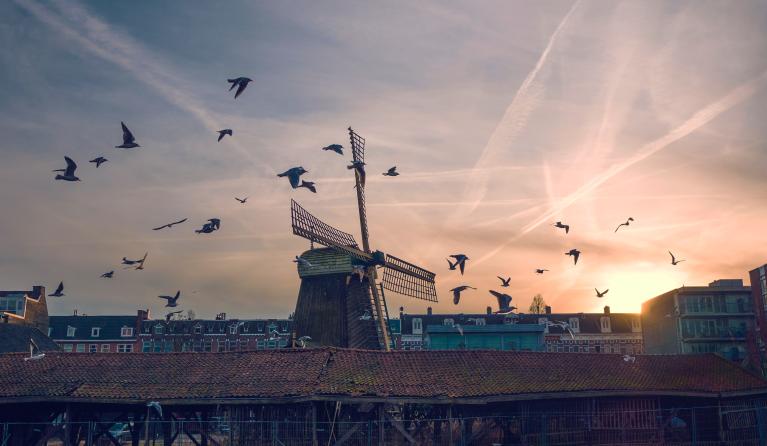 Foto: Vincent Versluis via Unsplash