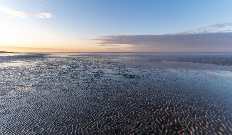 Waddengebied