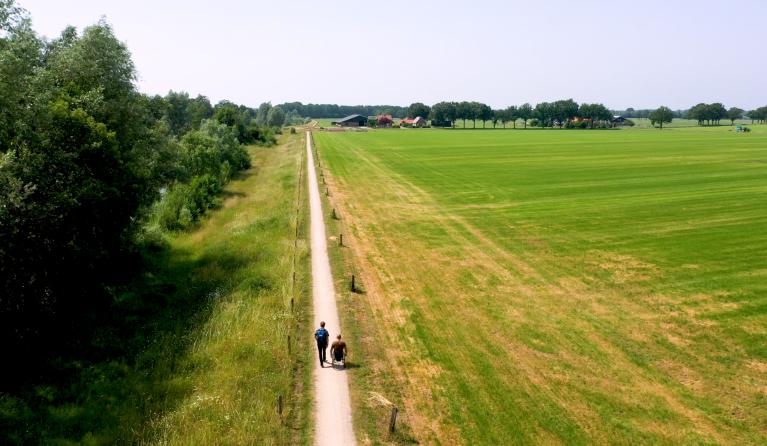 Sportiviteit header