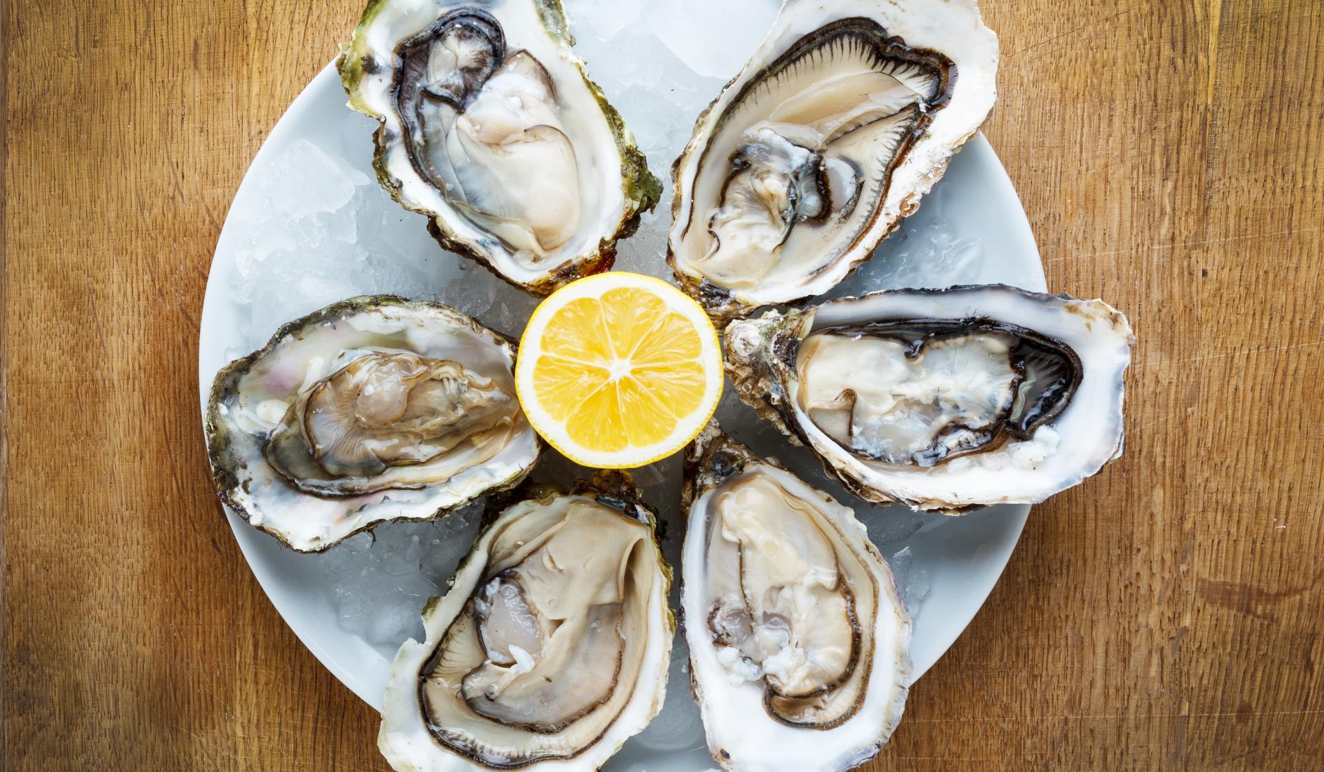 Leeft Een Oester Nog Als Je Hem Opeet