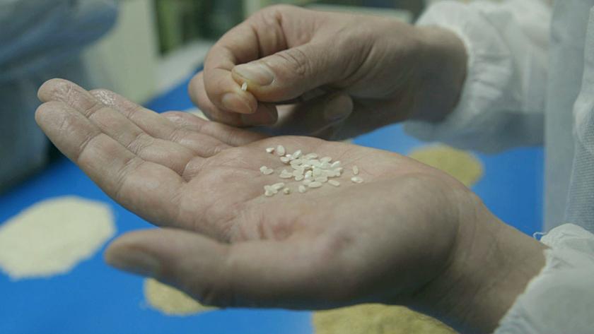 Keuringsdienst van Waarde: Risotto /01