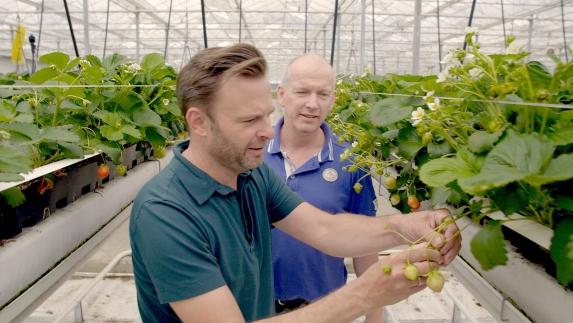 Keuringsdienst van Waarde: aflevering 2 Aarbeien