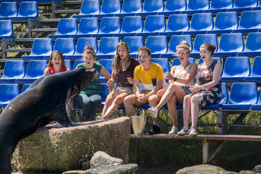 Boer zoekt Vrouw 2018: boer-Wim-en-zijn-dagdates-met-dolfijnen-318verkleind