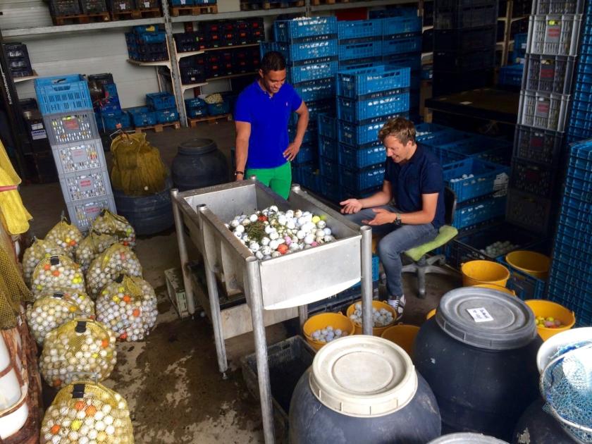 Klaas Kan Alles: Seizoen 2, aflevering 5; Golfballen duiken. Klaas van Kruistum