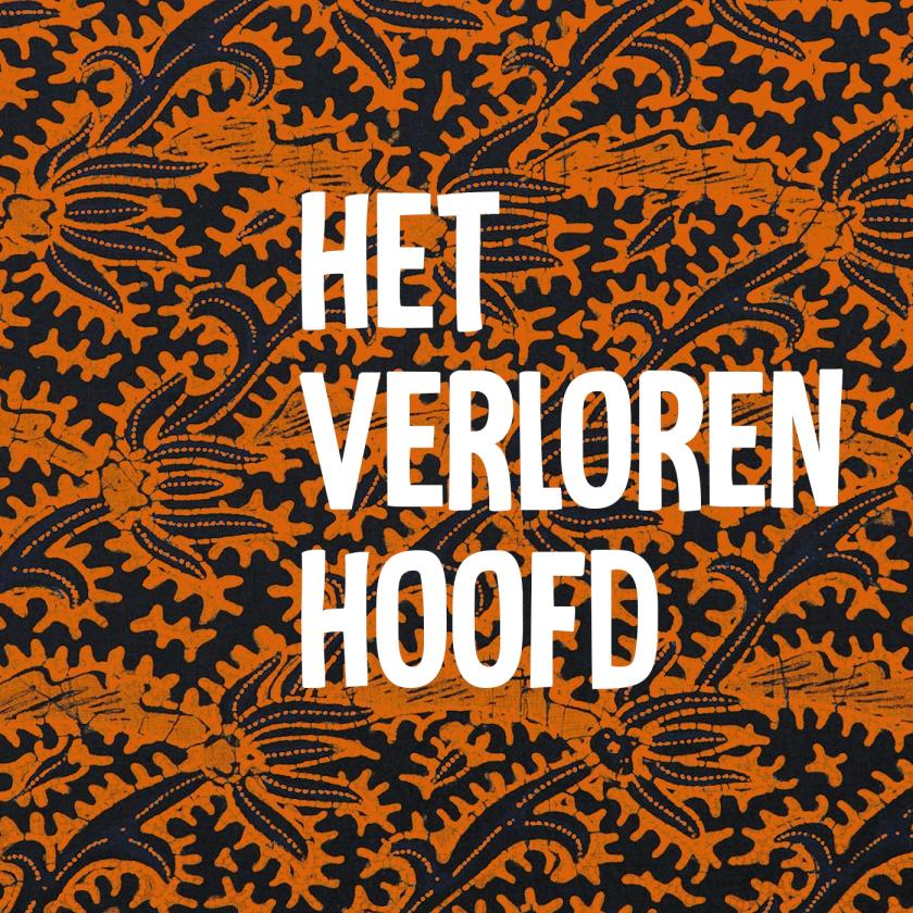 het-verloren-hoofd17