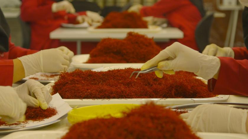 Keuringsdienst van Waarde (2017): Saffraan/02