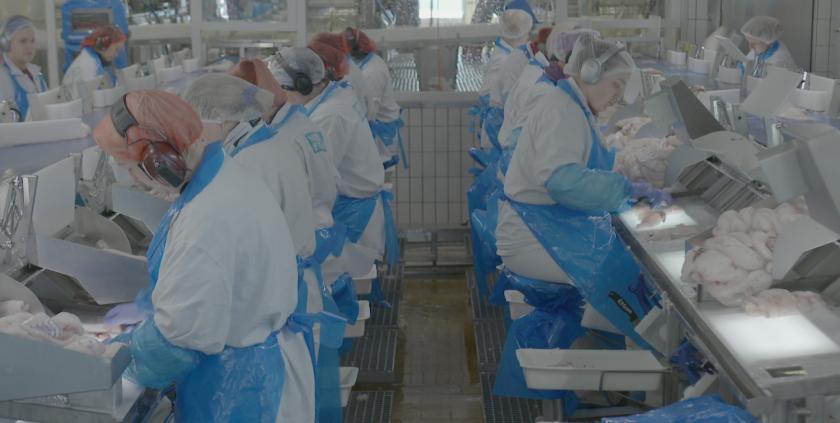 Keuringsdienst van Waarde: terug naar de basis: kibbeling 1