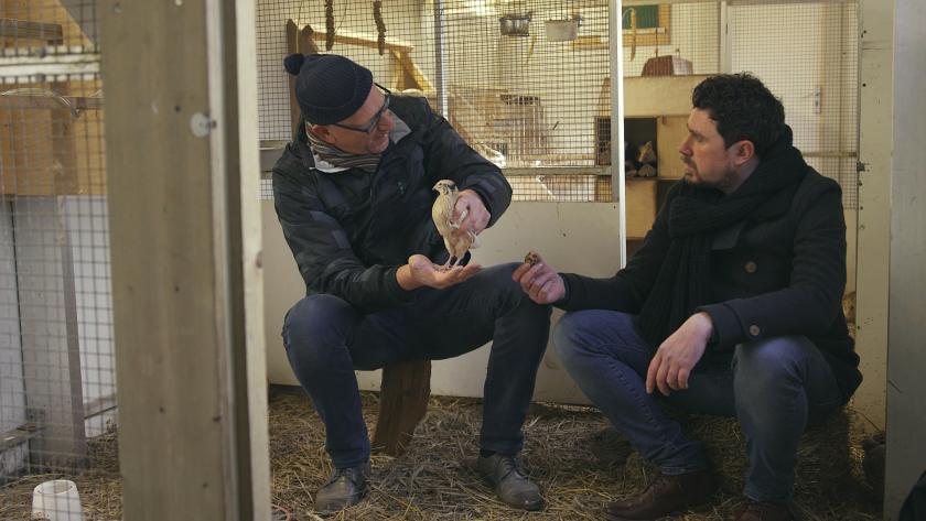 Keuringsdienst van Waarde: Kwartelei 1