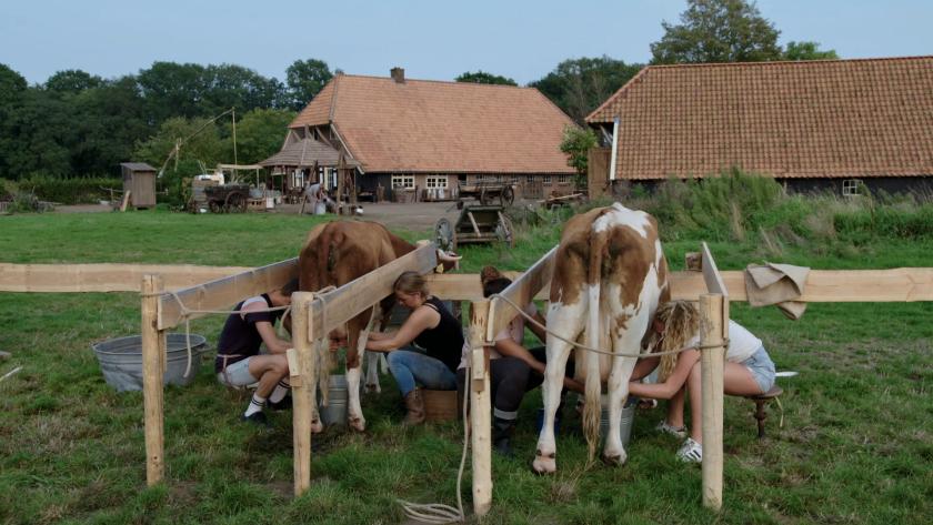 Nieuwe Boeren aflevering 6: koeien melken