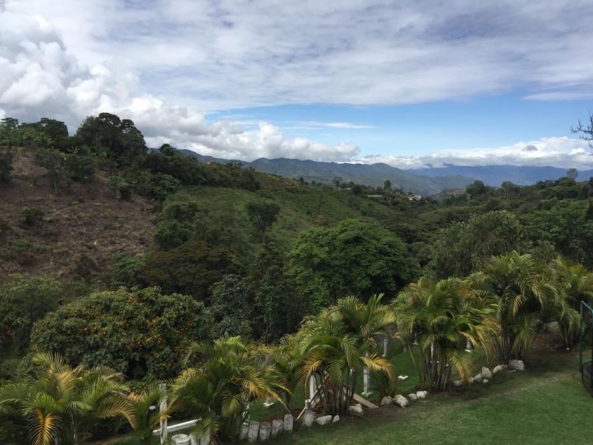 De Reünie (2017): De Reünie Special van de krakers van de Nijmeegse Piersonstraat