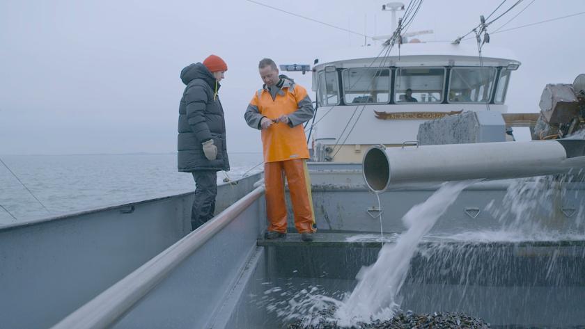 Keuringsdienst van Waarde - Alcoholvrij (5)