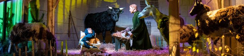 Kerststal den bosch kerststal