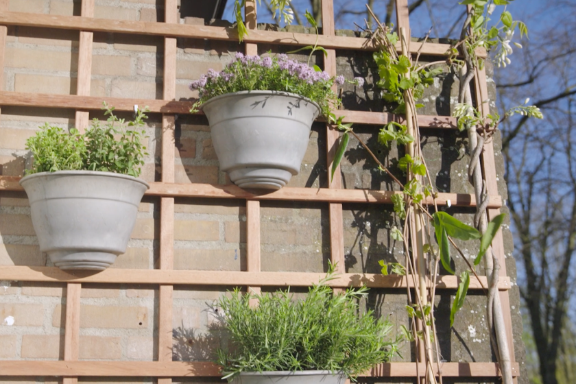 Plantenbakjes met verschillende kruiden aan een trellis scherm op een balkon Plantenbakjes met verschillende kruiden aan een trellis scherm op een balkon